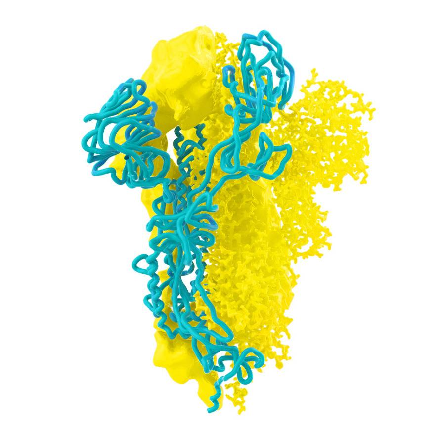 Vaccine Development Technology