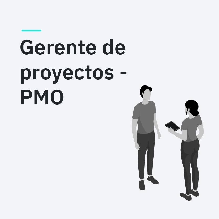 Gerente de Proyectos/PMO