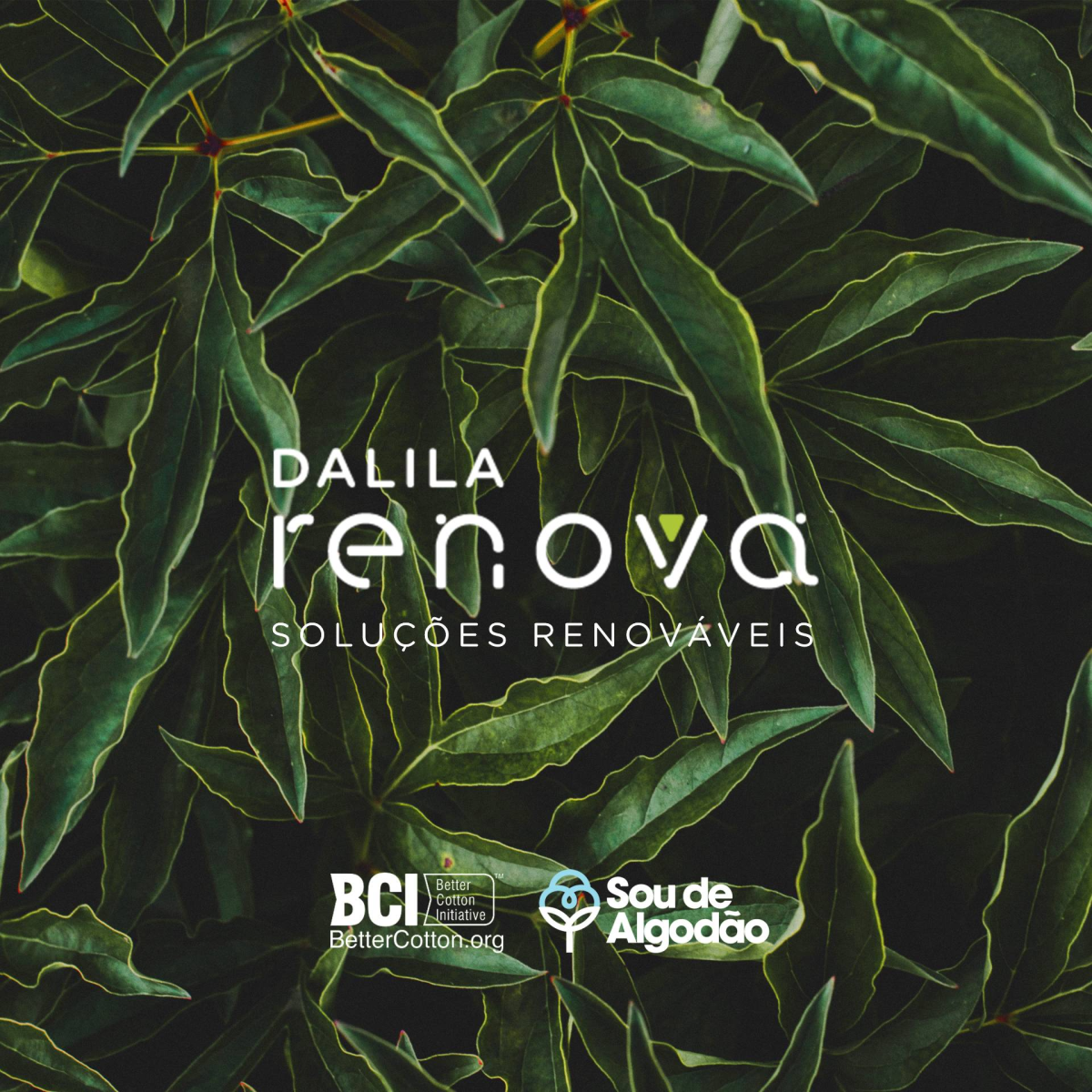 LÍNEA SOSTENIBILIDAD - RENOVA DALILA TÊXTIL