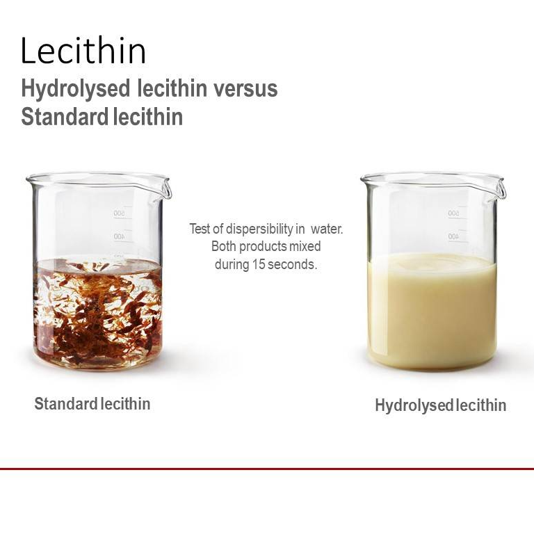 Emulsifiers & Lecithins