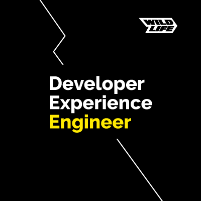 Developer Experience Engineer