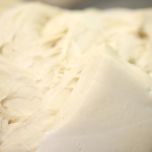 Lieviti per Panificazione