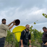 La Seigneurie - Vieilles Vignes à Pierrot 2020