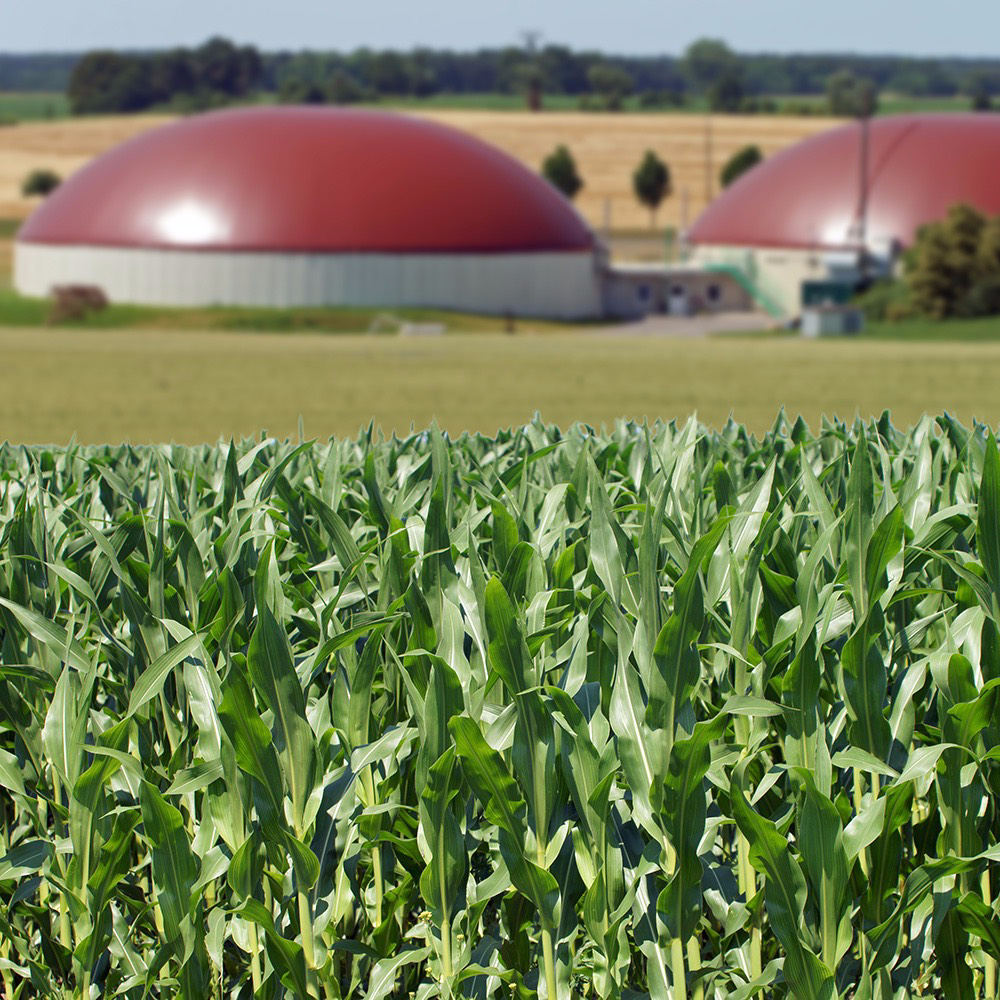 Anaerobic Digestion / Biogas Recruitment Services