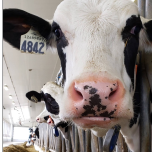 Undergraduate Programs