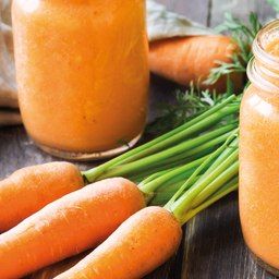 vega™ - our organic certified fermented carrot powder naturally rich in vitamin B12