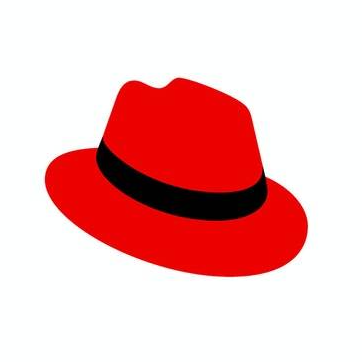 Agile Transformation Lead