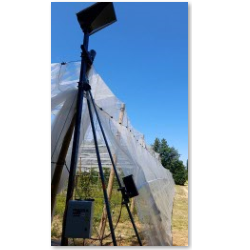 Solution Photovoltaïque