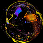 Everything from Here to Infinity