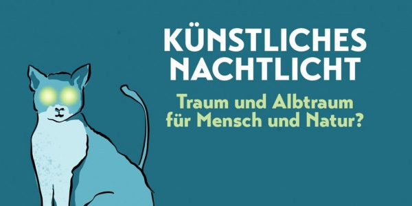 Künstliches Nachtlicht