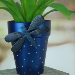 Americana Enchanted & Americana Enchanted Shimmer