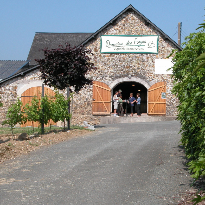 De la Vigne au Verre