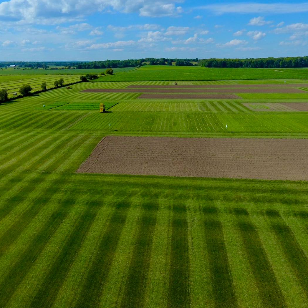 DLF Research Program