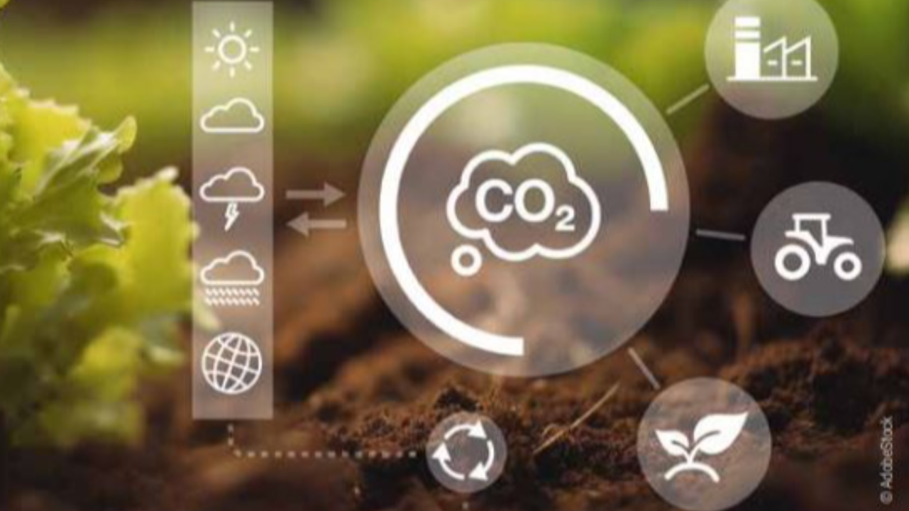 The Carbone F&L tool