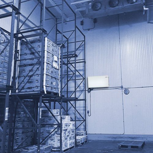 Airocide pour chambre froide