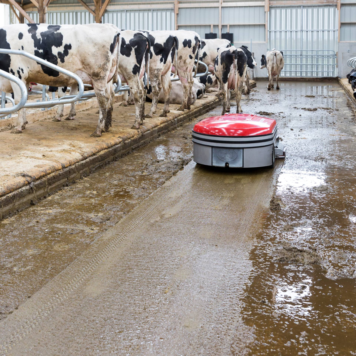 Lely Discovery 120 Collector mobile barn cleaner