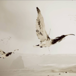 MYRIAD. Where we connect.