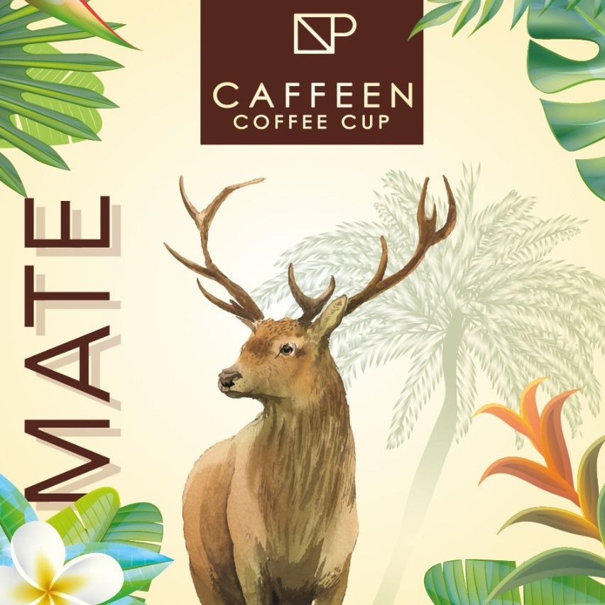 Coffee Beans Luxury Packaging