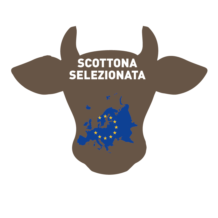 HEIFER BURGER SELECTED