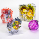 Grafix Craft Plastic Film