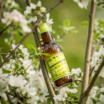 THE FLYING DUTCHMAN NOMAD BREWING COMPANY