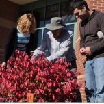 Associate Diploma Programs