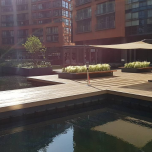 Floating Pocket Park, Paddington