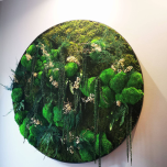 Tableau végétal stabilisé