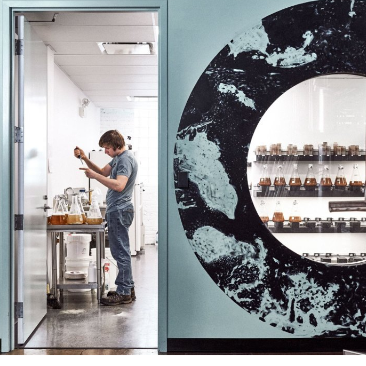 Classic strains: custom, fresh propagation makes a difference