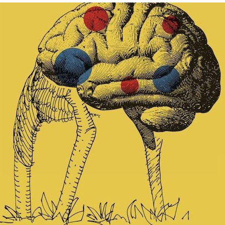 CLIMATE CHANGE: THE BRAIN PARADOX // UN FILM À LA PATTE
