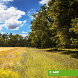 Interview - BASF’s sustainability targets in agriculture 2030