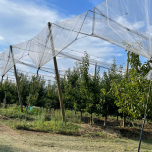 FILET ANTIGRÊLE -CYLHAIL