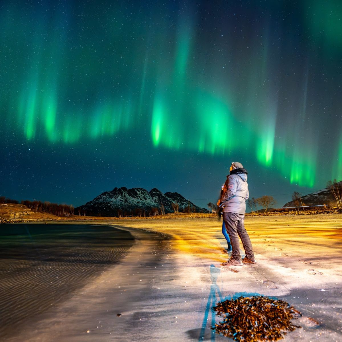 Northern Light Safari