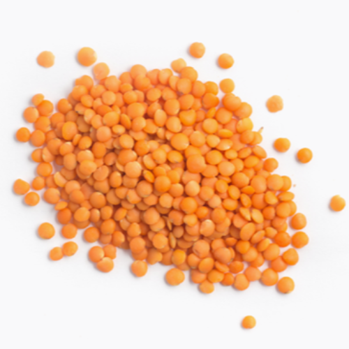 RED LENTIL PROTEINS