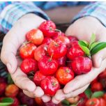 PurC® Organic Vitamin C