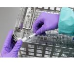 InnoWave Ultra-Ultra+