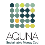 Murray Cod (Maccullochella peelii)