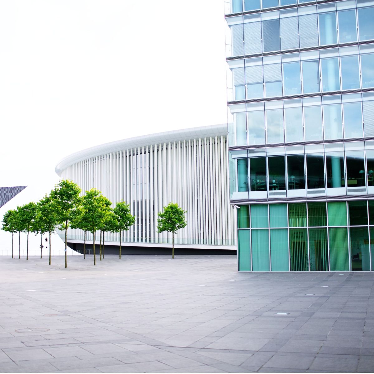 Jean-Marc Goy’s invitation from Luxembourg