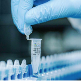 Custom Oligo Synthesis