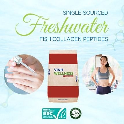 Vinh Wellness Collagen Peptides