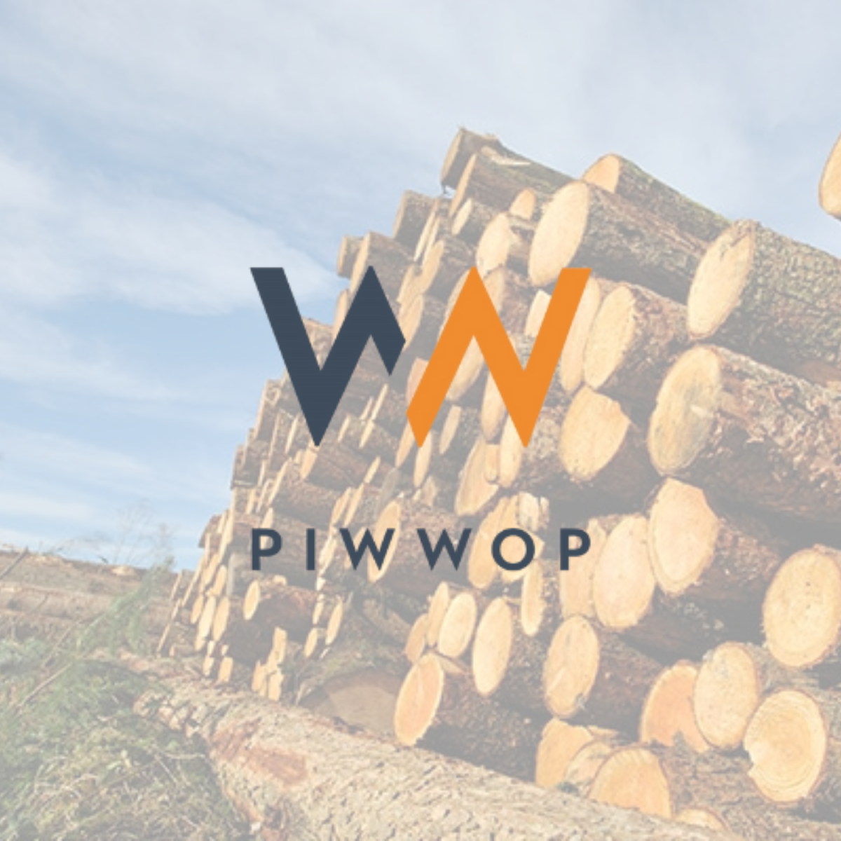 Optimizing Pricing Strategies for Partedis