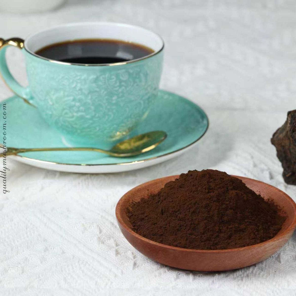 Organic Chaga (Inonotus obliquus) Powder