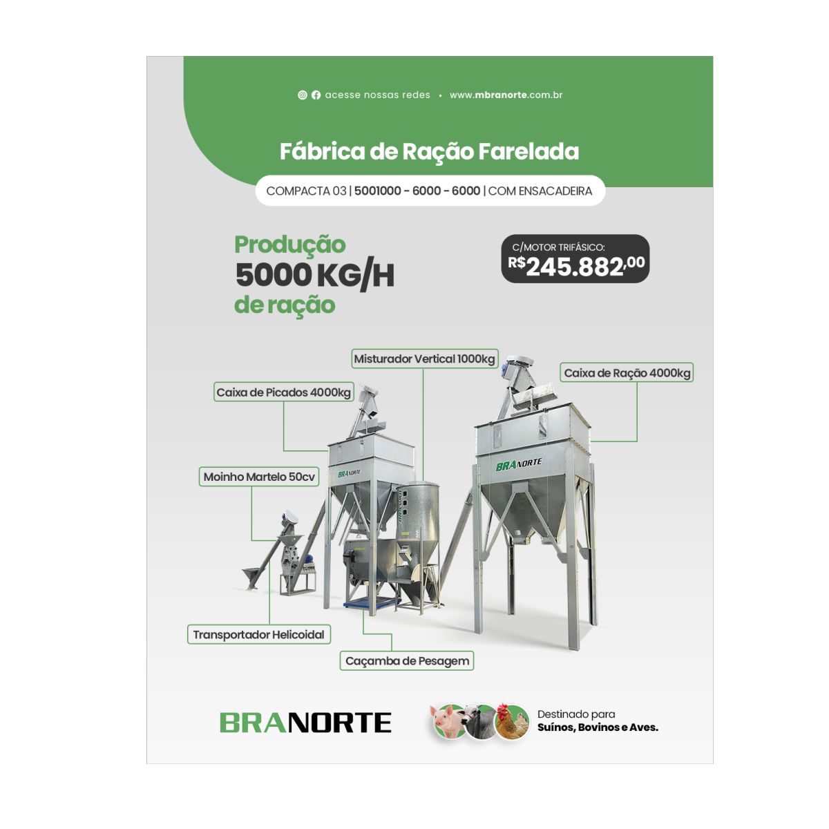 5000kg/h | Fabrica de Ração Compacta 03