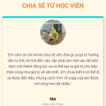 Black Friday - Khoá học Khởi nghiệp thần tốc với Yoga Online