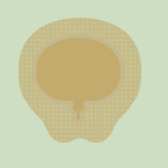 Polyurethane foam dressing