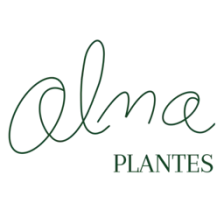 Alma Plantes