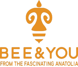 Bee & You