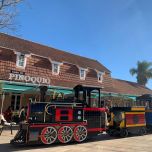 Wattman Mini & Maxi Express