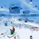 Snow Falling Machine – Magical Snowfall Anytime, Anywhere