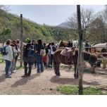 Wild Hirpinia Bike Tour